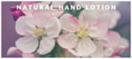 Caption Small Rectangle Label In Custom
